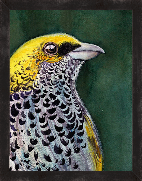 acuareloy portada test 01 acuareloy portada test 01